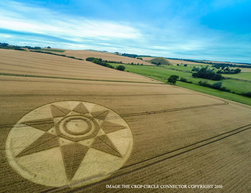 Crop Circles 2016 ~ 3 New in the UK G0036169bbb