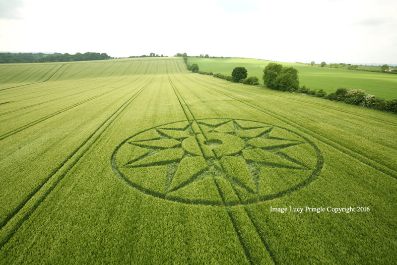 CROP CIRCLES 2016 ~ Willoughby Hedge, Nr Mere, Wiltshire & MORE WilloughbyCastleMere61