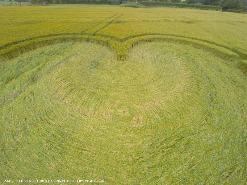 Crop Circles 2016 ~ Wilton Windmill, Nr Wilton, Wiltshire G0014574bbb