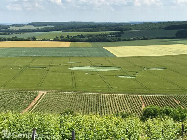 Crop Circle ~ Crézancy-en-Sancerre, France. Reported 2nd June Apparus-au-br