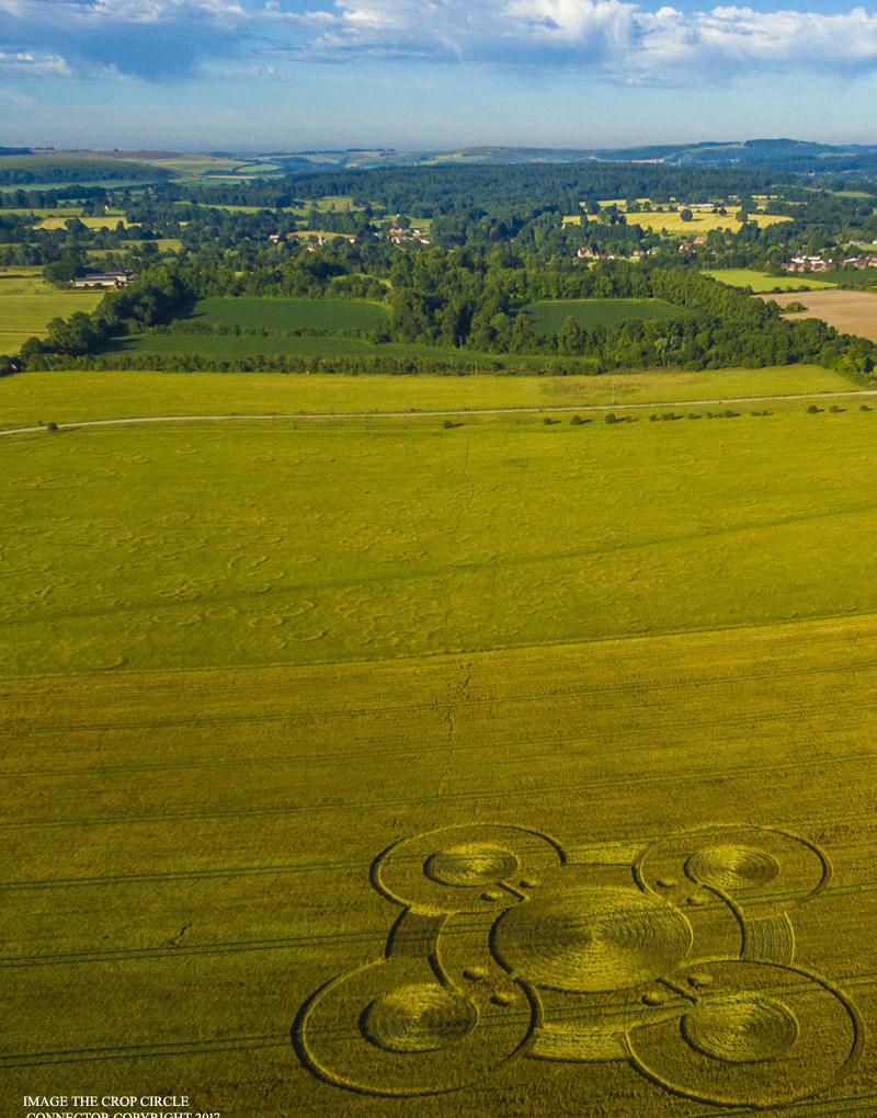 Crop Circle ~ Battlebury Hill, Nr Warminster, Wiltshire DJI_0038