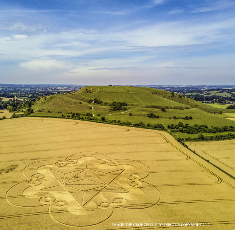 Crop Circle ~ Cley Hill, Nr Warminster, Wiltshire DJI_0338