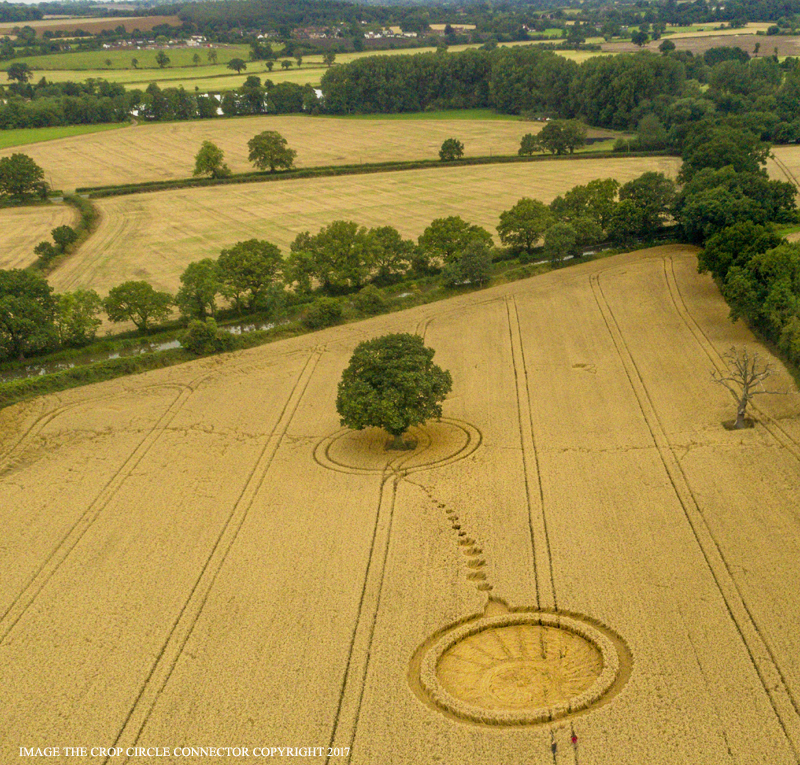 Crop Circle ~ Monarch's Way, Nr Wooton Wawen, Warwickshire DJI_0002bbb