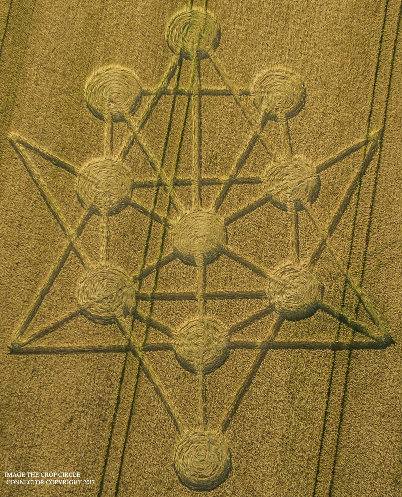 Crop Circle ~ Target Wood, nr Badbury Rings, Dorset.  DJI_0044