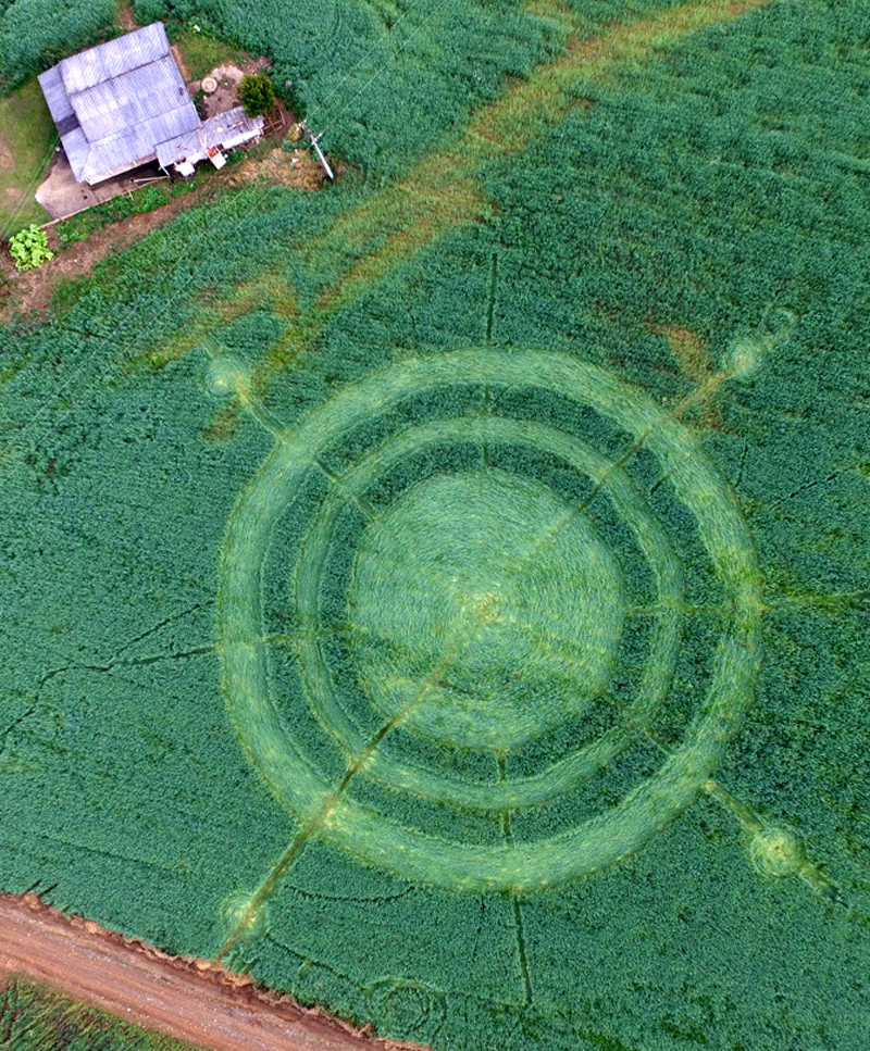 CROP CIRCLE 2018 - Jesuino Marcondes, Nr Prudentopolis, Southern Brazil DJI_0091