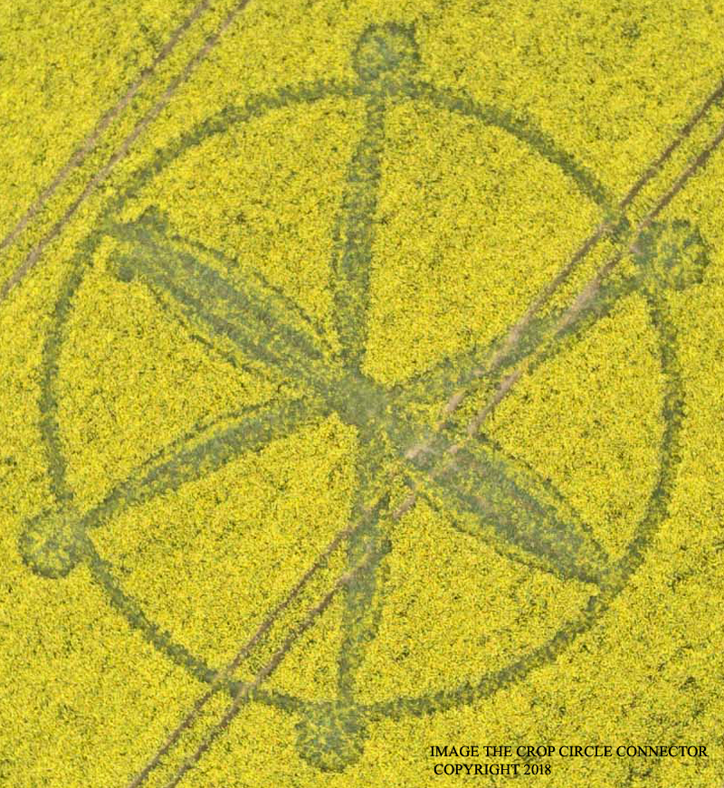 Crop Circle 2018 ~ Willoughby Hedge, Nr Mere, Wiltshire. Reported 8th May. DJI_0009b