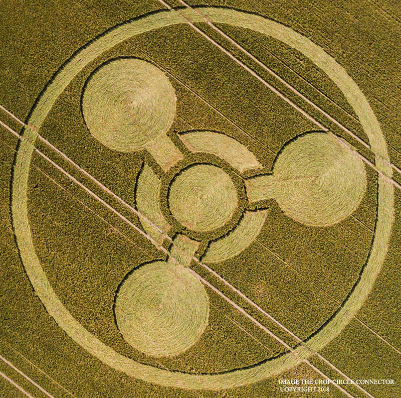 CROP CIRCLE 2018 - Coneybury Hill, Nr Stonehenge, Wiltshire DJI_0003