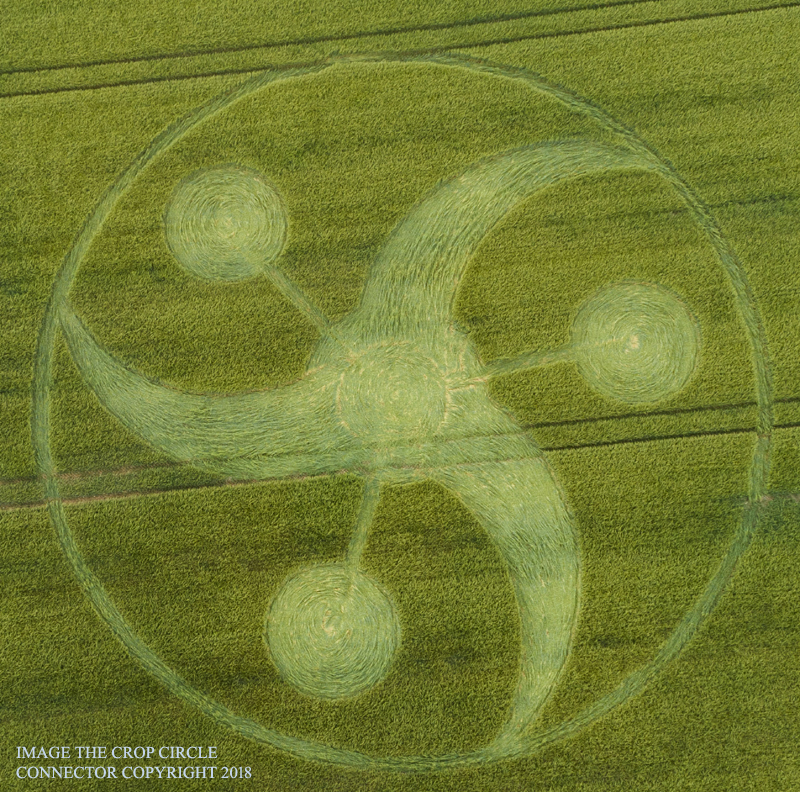 CROP CIRCLE 2018 - Keysley Down, Nr Chicklade, Wiltshire. Reported 10th June. DJI_0003