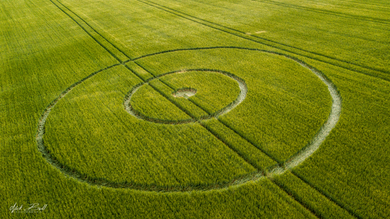 CROP CIRCLE 2018 - Pancake Plantation, Nr Alton, Hampshire & Waden Hill, Nr Avebury, Wiltshire DJI_0066