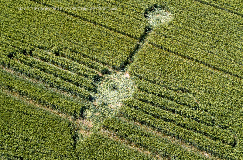 CROP CIRCLE 2018 - Pancake Plantation, Nr Alton, Hampshire & Waden Hill, Nr Avebury, Wiltshire DJI_0105