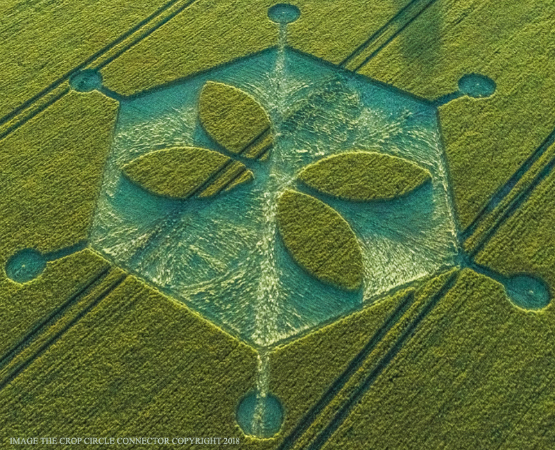 CROP CIRCLE 2018 - Yarnbury Castle, Nr Steeple Langford, Wiltshire. Reported 24th June. DJI_0028