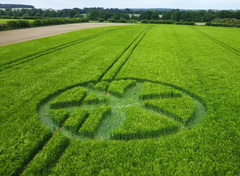 Crop Circles 2019 ~ Chesterton Farm, nr Cirencester, Gloucestershire & Spiers Lane, nr Chilton Candover, Hampshire Buried1