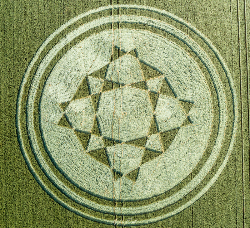 Crop Circles 2019 - Danebury Iron Age Hillfort, Nr Stockbridge, Hampshire DJI_0296