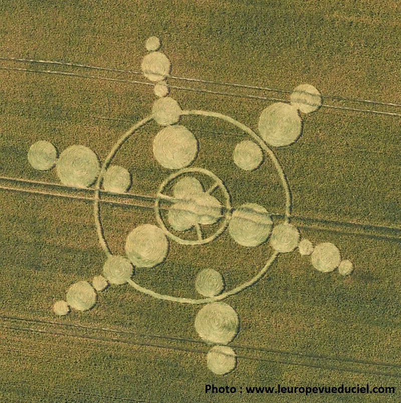 Crop Circles 2019 - Parcay-Meslay, Nr Tours, Touraine, France.  Maxime2019b