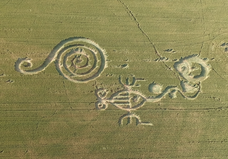 Crop Circles 2019 - Between Březina and Osek Municipalities, Rokycany District, Pilsen Region, Czech Republic 321