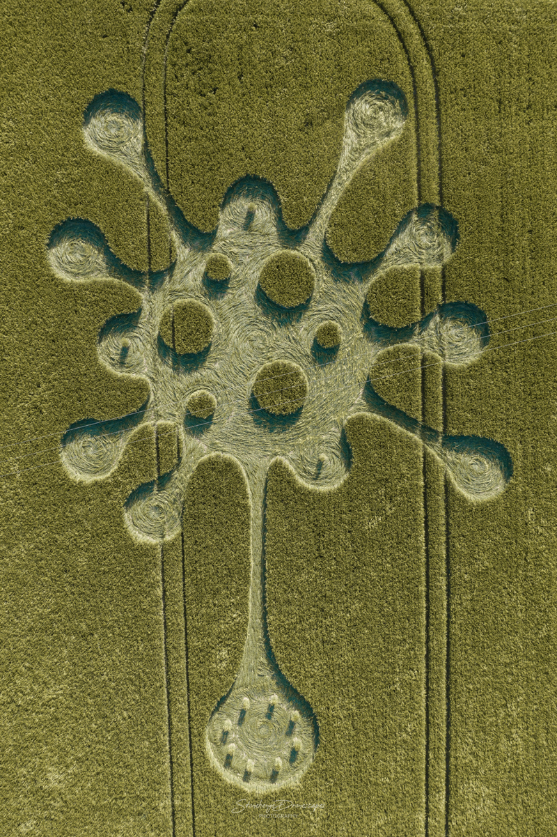 crop circles 2020 DJI_0318