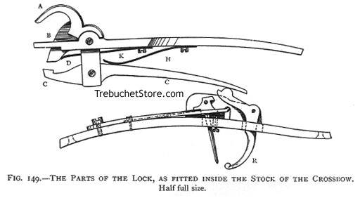 Split limb Fig149