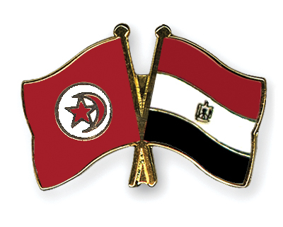 إعتذار للشعب التونسى الشقيق Flag-Pins-Tunisia-Egypt