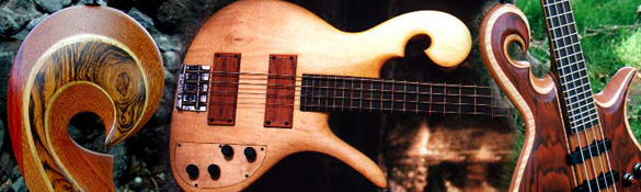 Star Bass - Parceria entre o Luthier Ademir e PJ 4pics