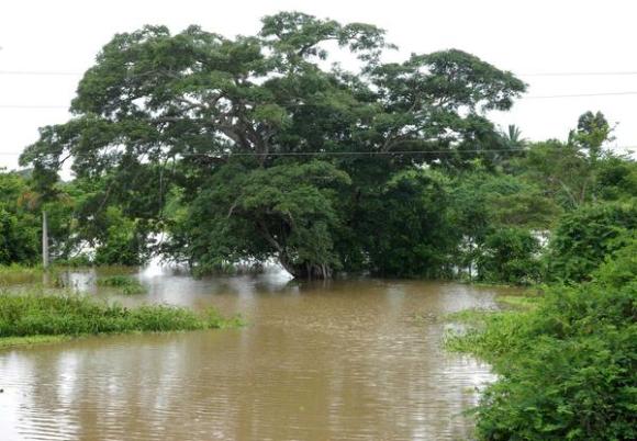 SEGUIMIENTO METEOROLOGICO... - Página 2 Inundaciones-pinar-del-rio-3