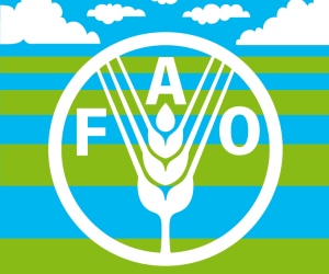 Cuba reclama en la FAO cambios en el sistema alimentario mundial WFD_spanish