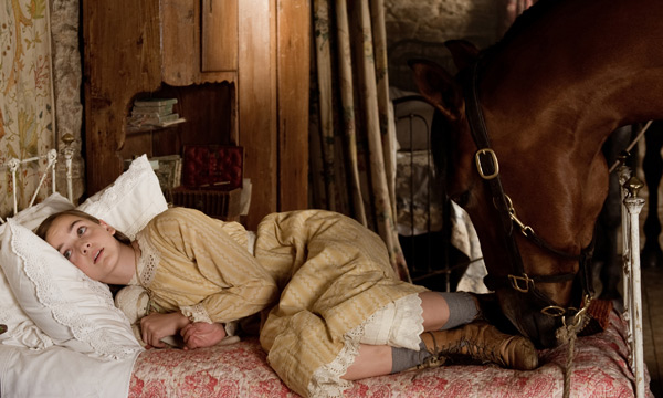 ¡¡¡  LA ELEGANCIA Y HERMOSURA !!! War-horse-caballo-de-batalla-16