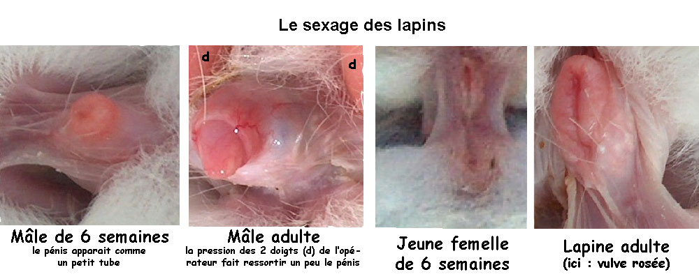 مواضيع المنتدى المتميزة والحصرية Figure-13