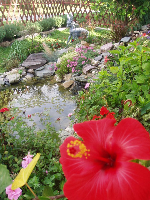 Uređenje vrta – stari ćupovi kao saksije za cveće P1010032