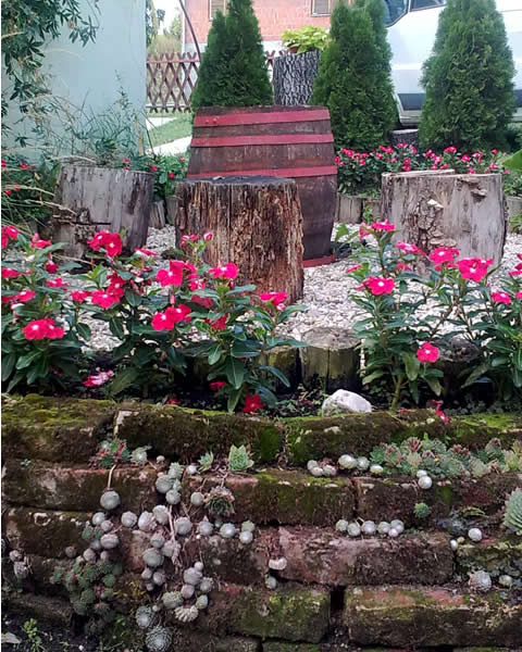 Uređenje vrta – stari ćupovi kao saksije za cveće Vrt3