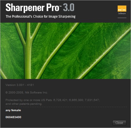 Nik Software Complete Collection for Adobe Photosop Nik_sharpener