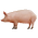 Commonwealth of Sovereign Nations, CSN Pigs