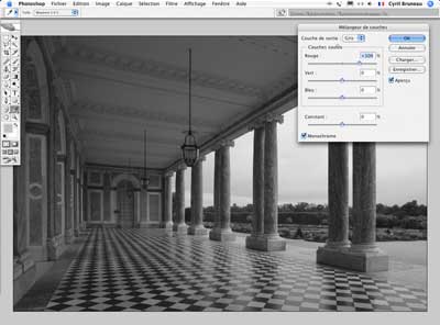 Aprendre  passer une images en noir et blanc. Retouche_2e