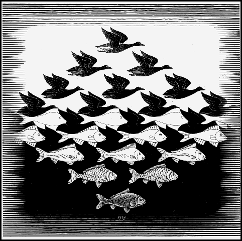 Algunas de las imagenes de las obras de Escher Birds-to-fish