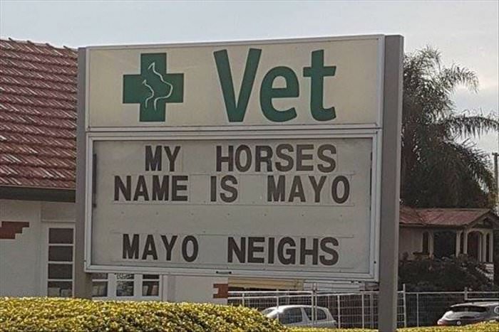 The Humor Train My-horses-name