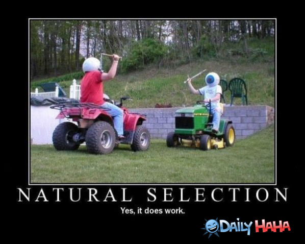 Funny Pictures Natural-selection-works