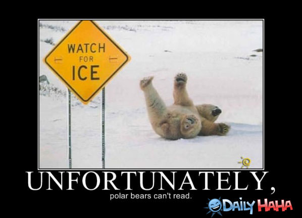 Funny Pictures Polar-bears-cant-read