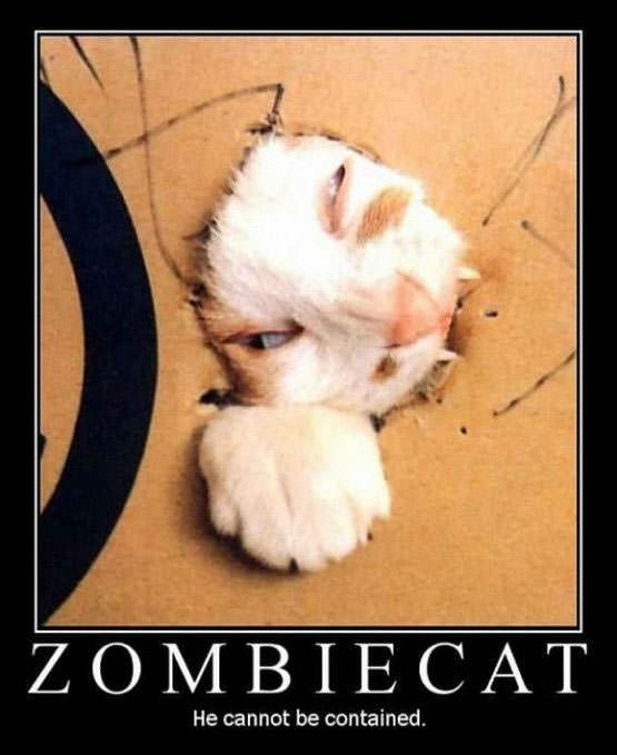 What have I always said about ppl? - Page 2 Zombie_cat