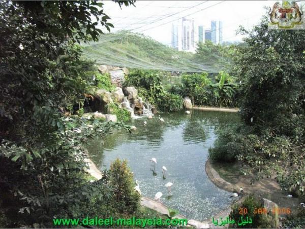 الأماكن السياحية في كوالالمبور بالصور ( الجزء الثاني) Malaysia_genting_highlands_1_593208