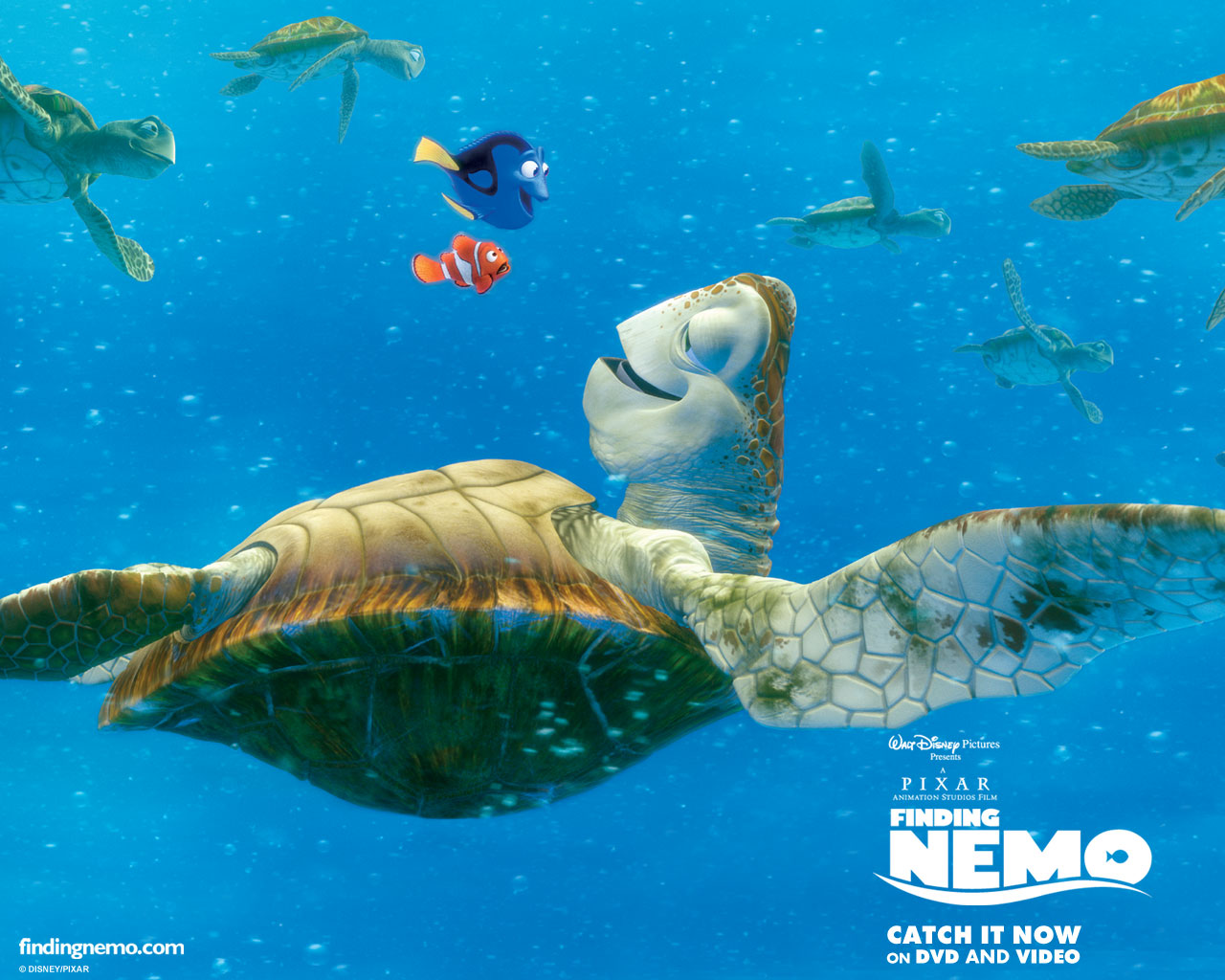 تحميل فيلم ( رحلة البحث عن نيمو مدبلج Finding Nemo ) FindingNemoWallpaper21280x1024