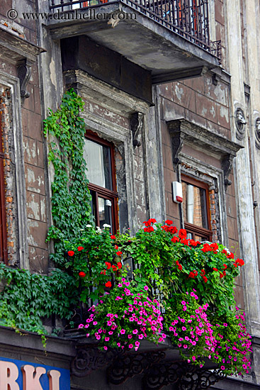  حدائق النوافذ والشرفات Colored-flowers-from-balcony-1-big