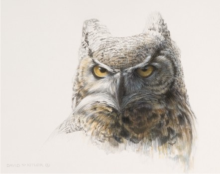 The Great Owl Great_Horned_Owl_Sketch