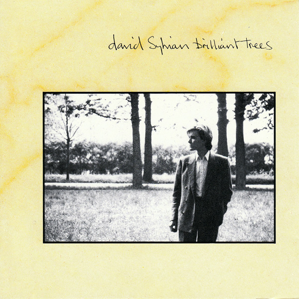 10 disques qui importent David_sylvian_brilliant_trees