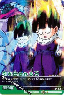 Cartes db, dbz, dbgt H400_1206_carte