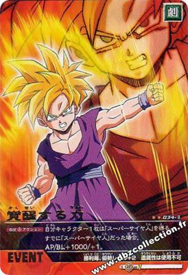 Cartes db, dbz, dbgt H400_1349_carte