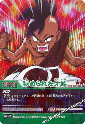 Cartes db, dbz, dbgt H400_1379_carte