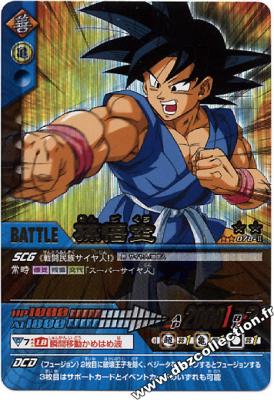 Cartes db, dbz, dbgt H400_1393_carte