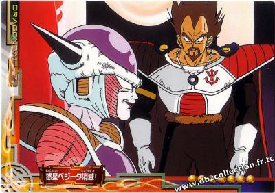 Cartes db, dbz, dbgt H400_1649_carte