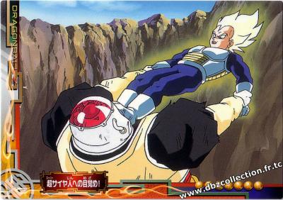 Cartes db, dbz, dbgt H400_1660_carte