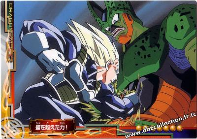 Cartes db, dbz, dbgt H400_1664_carte