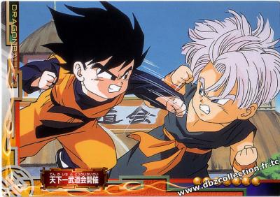 Cartes db, dbz, dbgt H400_1671_carte